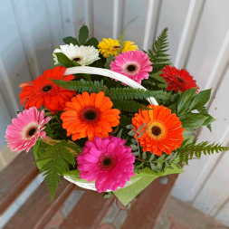 Корзина с герберами