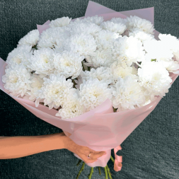 Букет 11 белых кустовых хризантем