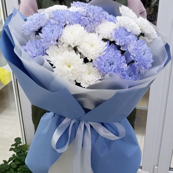 7 белых и голубых хризантем  в Джанкое