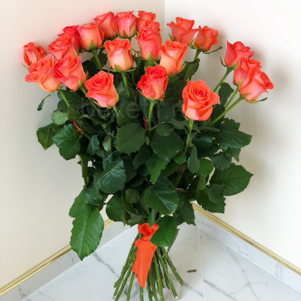 21 коралловая роза, лента в Джанкое