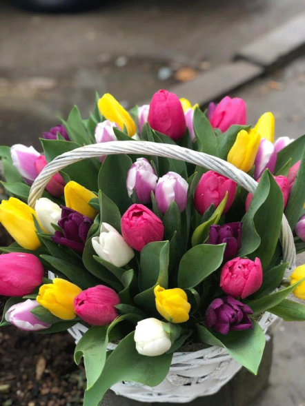 41 тюльпан микс в корзине в Джанкое