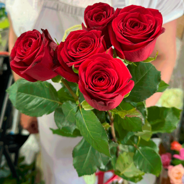 5 красных роз в Джанкое