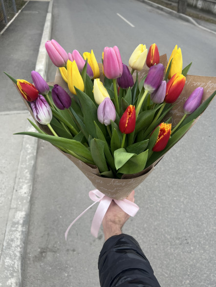 25 тюльпанов микс в упаковке в Джанкое