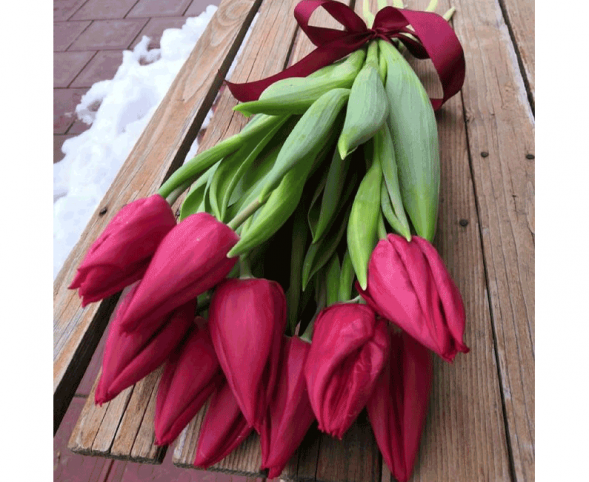 11 красных тюльпанов, лента в Джанкое