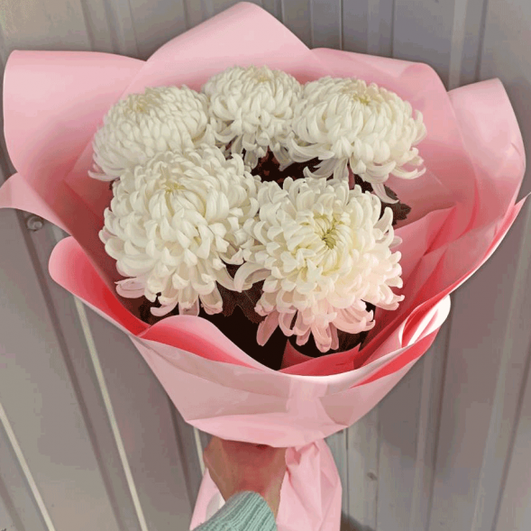 Букет 5 одноголовых хризантем в Джанкое