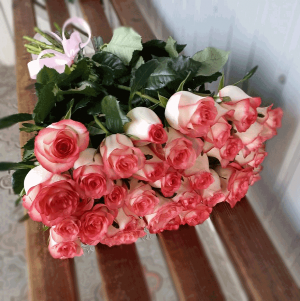 31 розовая роза в Джанкое