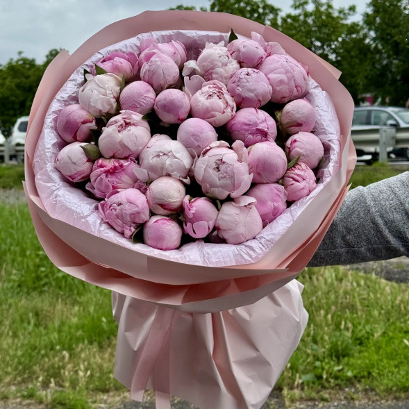 29 пионов &quot;Сара-Бернар&quot; в нежно-розовой упаковке в Джанкое