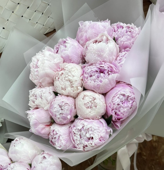 15 пионов Сара Бернар в Джанкое