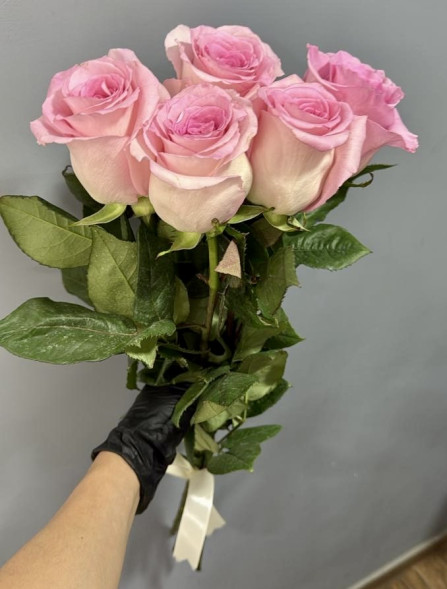 5 розовых роз, лента (Импортные) в Джанкое